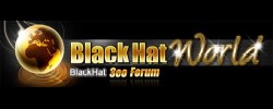 www.blackhatworld.com